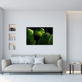 Obraz - Zelený had (90x60 cm)