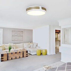 Rabalux 5646 - LED Stmievateľné stropné svietidlo SALMA LED/24W/230V