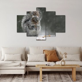 Obraz - Veverička v zime (150x105 cm)