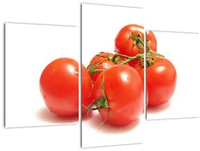 Paradajky - obraz