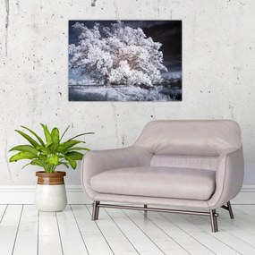 Obraz - Snehobiely strom (70x50 cm)