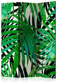 Artgeist Paraván - Tropical Leaves [Room Dividers]