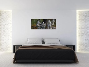 Obraz - Vlci na skale (120x50 cm)