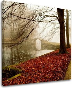 Obraz na stenu STROMY