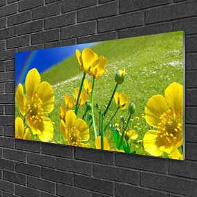 Obraz na skle Lúka kvety dúha príroda 125x50 cm