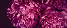 Obraz - Kytica pivoniek (120x50 cm)