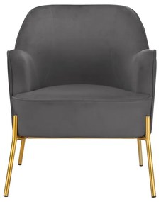 Sivé zamatové kreslo Runa – Støraa