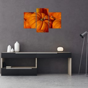 Obraz - Veľké tekvice (90x60 cm)