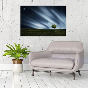 Obraz polárna žiara nad vresoviskom (90x60 cm)