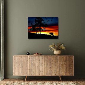 Obraz - Silueta vlka (70x50 cm)