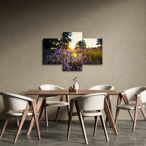 Obraz poľa levanduľou (90x60 cm)