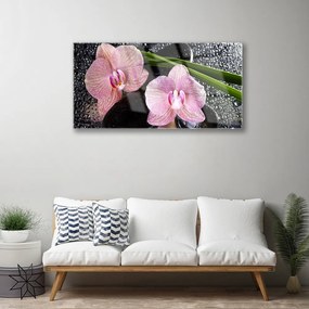 Obraz plexi Kvety orchidea kamene zen 100x50 cm