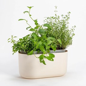 Plastia Samozavlažovací truhlík Tolita béžová, 31 x 16 cm
