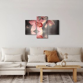 Obraz - Kvety a motýľ (90x60 cm)