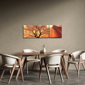Obraz lúčov Boha (s hodinami) (90x30 cm)