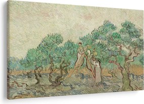 Obraz - Vincent van Gogh, The Olive Orchard, reprodukcia (90x60 cm)