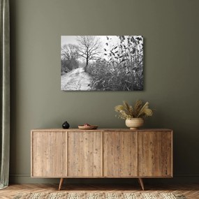 Obraz - Pole v zime (90x60 cm)