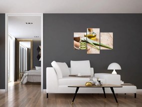 Obraz - Aloe vera (90x60 cm)