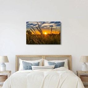 Obraz pole pri západe slnka (90x60 cm)