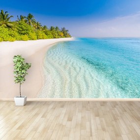 Fototapeta Vliesová Tropická pláž 208x146 cm