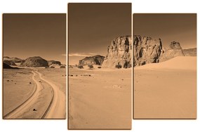 Obraz na plátne - Cesta v púšti 1129FC (135x90 cm)
