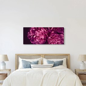 Obraz - Kytica pivoniek (120x50 cm)
