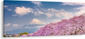 Obraz - Japonská jarná krajina (120x50 cm)