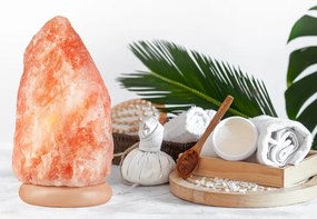 Soľná lampa SALLY 1xE14/25W/230V