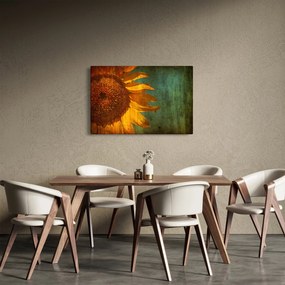 Obraz - Slnečnica (90x60 cm)
