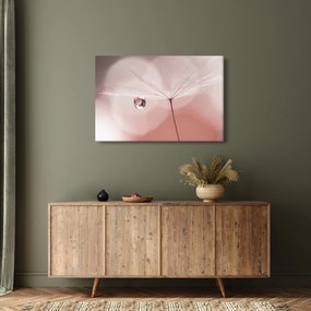 Obraz - Kvapka rosy (90x60 cm)