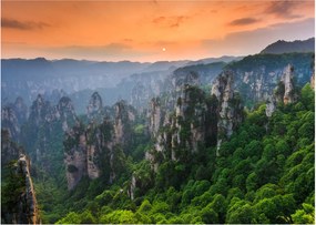 Obraz - Národný lesný park Zhangjiajie (70x50 cm)