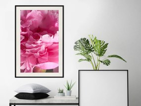 Artgeist Plagát - Beautiful Peonies [Poster] Veľkosť: 40x60, Verzia: Čierny rám s passe-partout