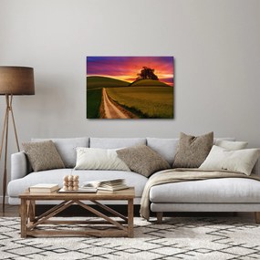 Obraz poľa a farebného neba (70x50 cm)