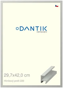 DANTIK rám na obraz 29,7x42 | ALU Stříbrná matná (Plexi Čiré)