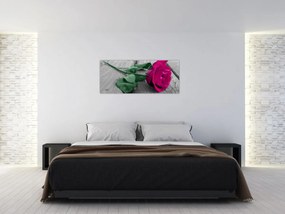 Obraz - Ružová ruža so zelenou stonkou (120x50 cm)