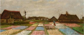Obraz - Vincent van Gogh, Flower Beds in Holland, reprodukcia (120x50 cm)