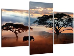 Obraz - Národný park Serengeti, Tanzánia, Afrika (90x60 cm)