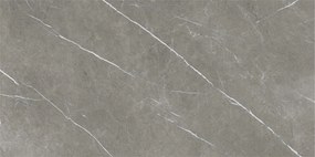 Dlažba Eternal Dark Natural 60x120 R