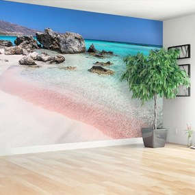 Fototapeta Vliesová More ružového piesku 416x254 cm
