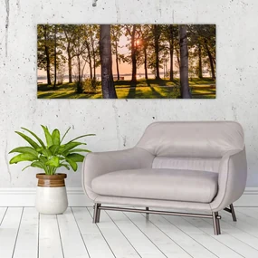 Obraz stromov pri jazere (120x50 cm)