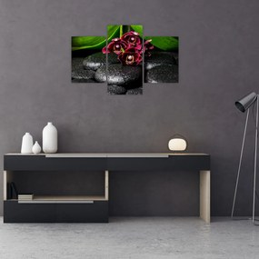 Obraz - Lávové kamene (90x60 cm)