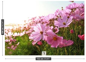 Fototapeta Vliesová Vesmír kvetina 312x219 cm