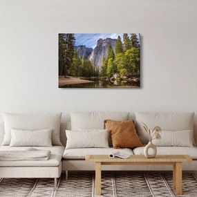 Obraz - Pod Yosemite skalou (90x60 cm)