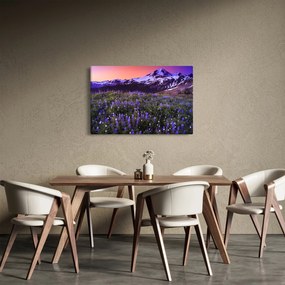 Obraz - Sopka a kvety (90x60 cm)