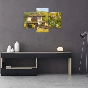 Obraz - Chalúpky v lete (90x60 cm)