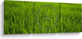 Obraz trávy (s hodinami) (90x30 cm)