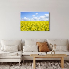 Obraz žltého poľa (90x60 cm)