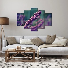 Obraz fialovej kvetiny (150x105 cm)