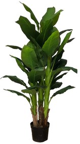 Artificial plant Bananowiec 160cm