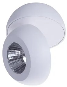 LED bodové svetlo Ojos 1 biele